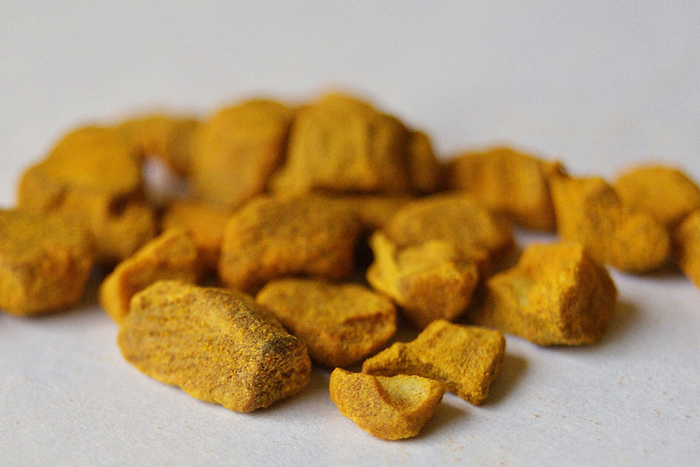 Curcuma xanthorrhiza (Roxb.), Foto: Danny S./ccbysa30